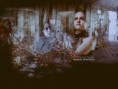 /album/fotogaleria-wallpaper/edward-bella-new-moon-wallpaper-twilight-series-3466628-1024-768-jpg/