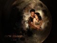 /album/fotogaleria-wallpaper/jacob-and-bella-jacob-and-bella-7324178-1024-768-jpg/