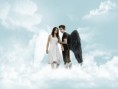 /album/fotogaleria-wallpaper/kristen-bella-swan-4910011-1024-768-jpg/